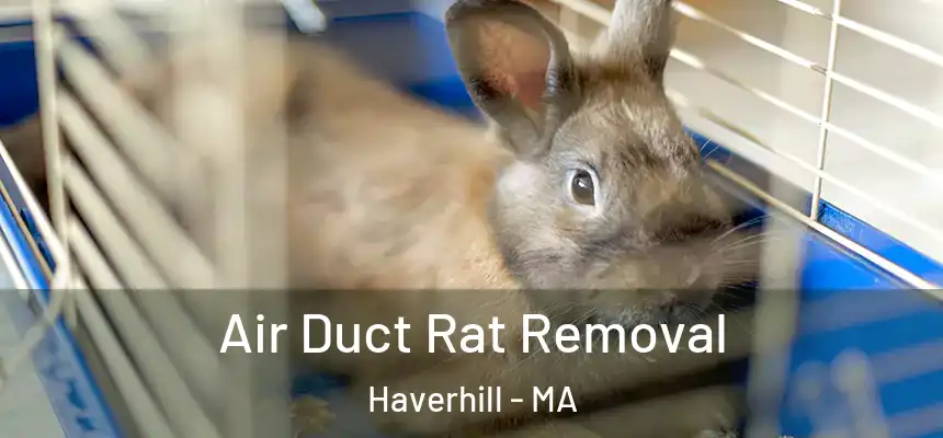  Air Duct Rat Removal Haverhill - MA