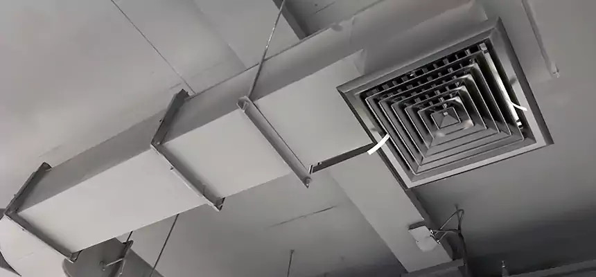 Restorative Allergy Relief Vent Cleaning – Coil, Blower & Housing Detail in Haverhill