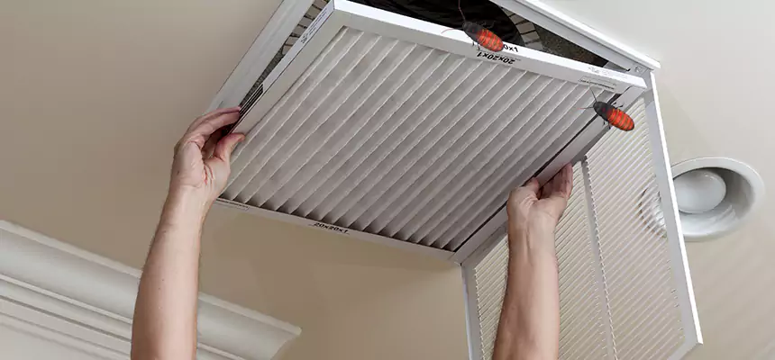 Our Insect Removal from Air Ducts Services in Haverhill, MA
