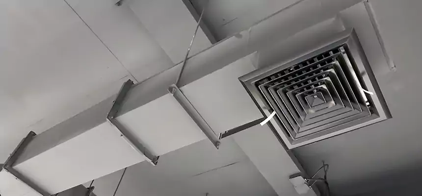 Our Rodent Droppings In Vents Services in Haverhill, MA