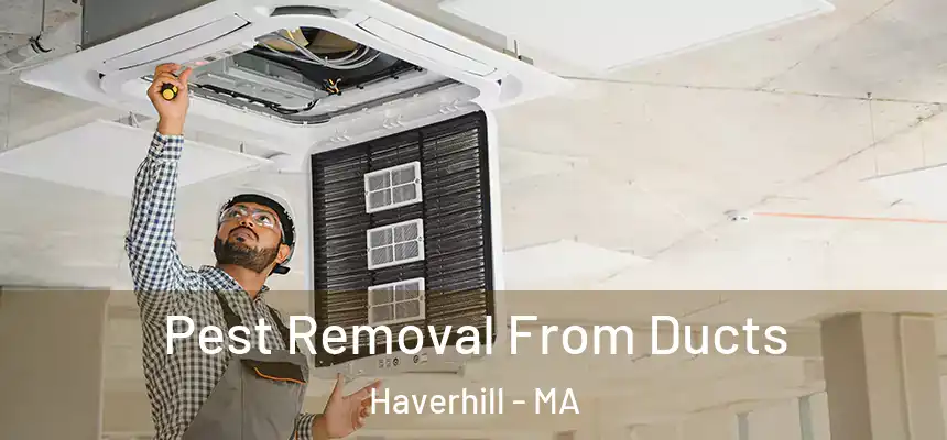  Pest Removal From Ducts Haverhill - MA