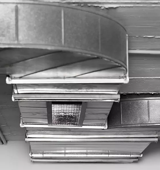 Professional Air Duct Pest Removal in Haverhill, MA