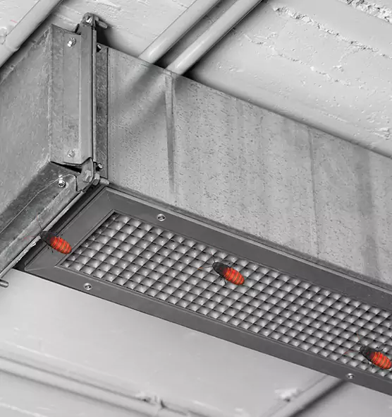 Affordable Insect Removal from Air Ducts in Haverhill, MA
