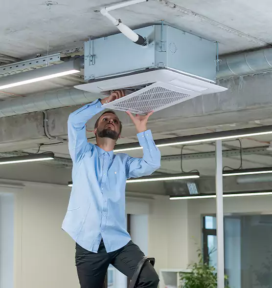 Advanced Rodent Droppings In Vents in Haverhill, MA