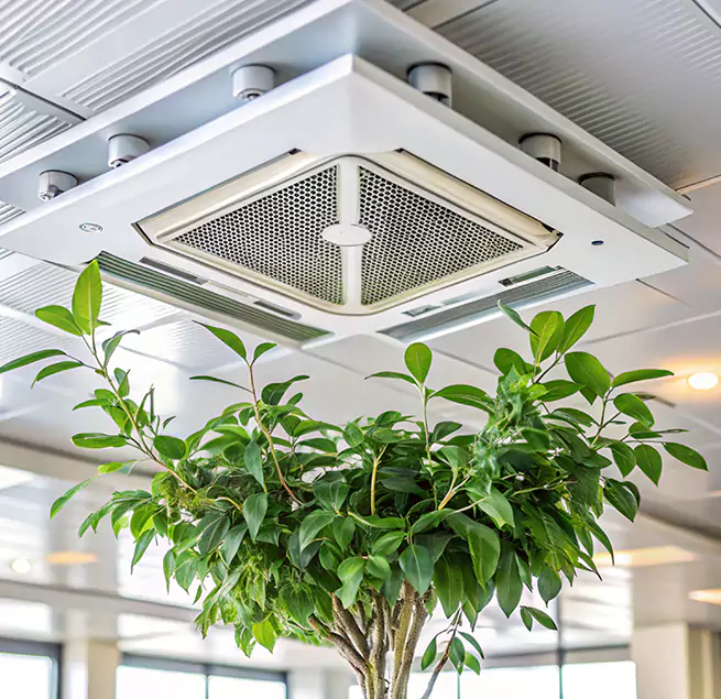 Why Homeowners & Businesses Trust Us in Haverhill, MA?