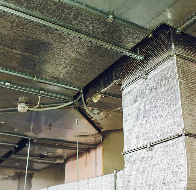 Why Homeowners & Businesses Trust Us in Haverhill, MA?